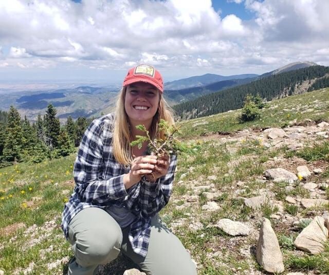 Grad student Sydney Bailey in Colorado doing field work.